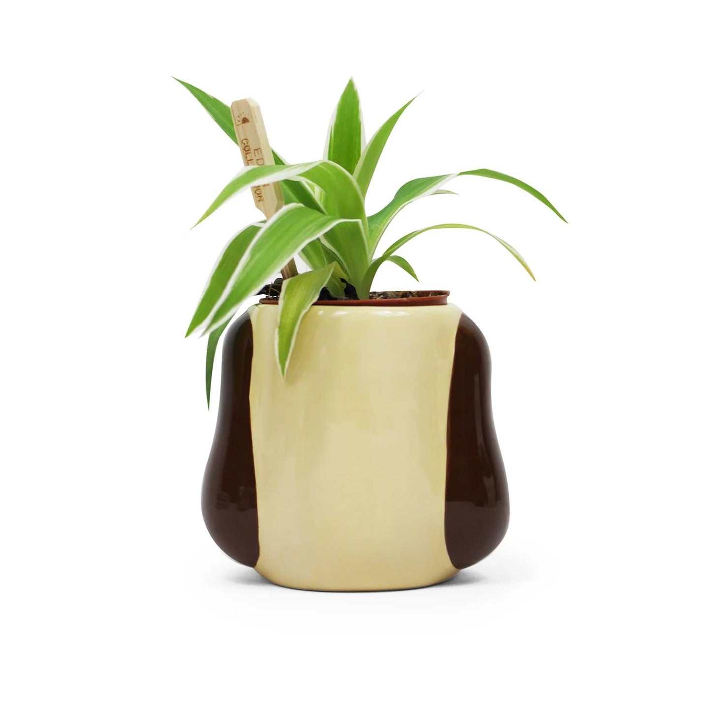 Plant Pot Shaped - Wallace & Gromit (Gromit)
