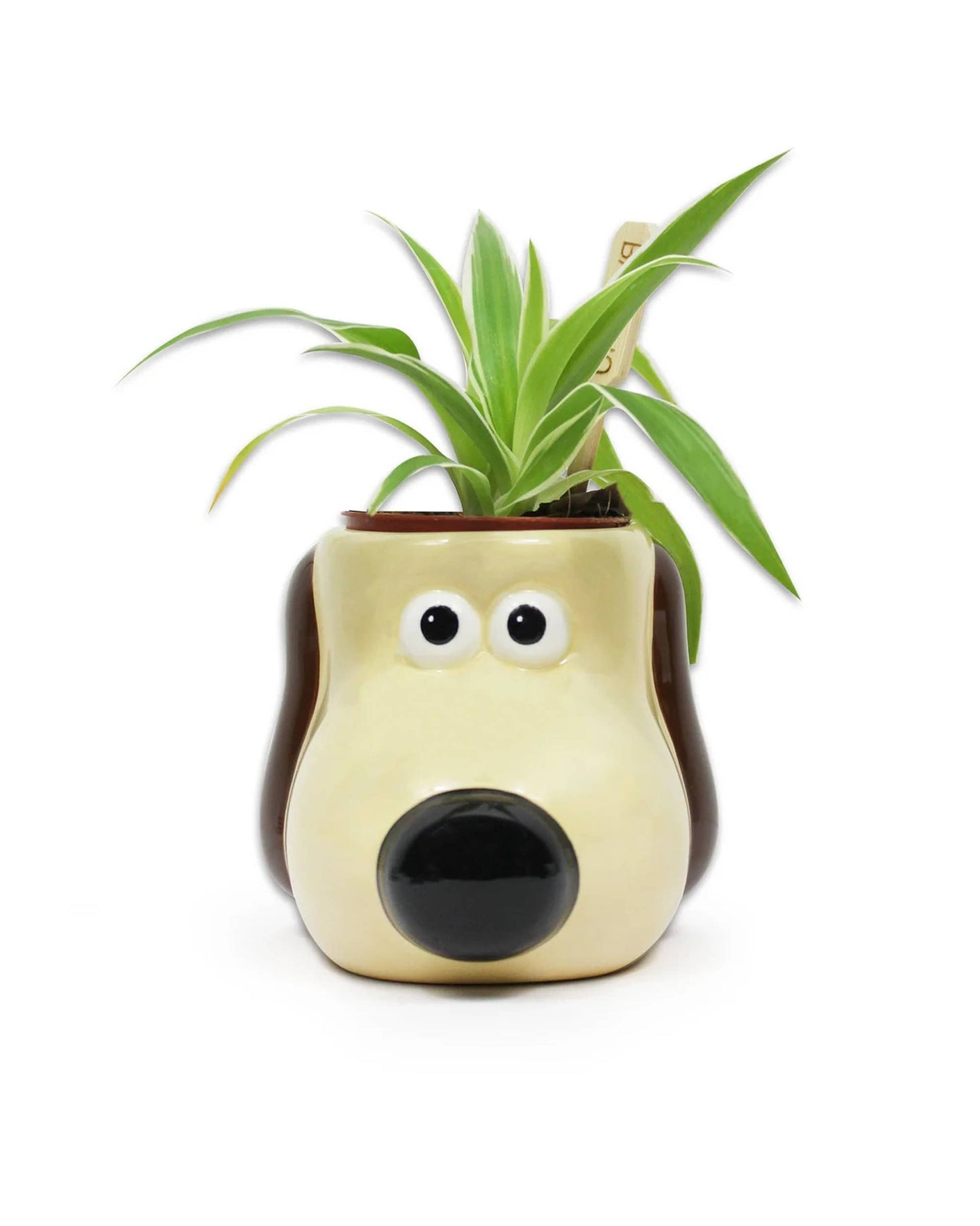 Plant Pot Shaped - Wallace & Gromit (Gromit)