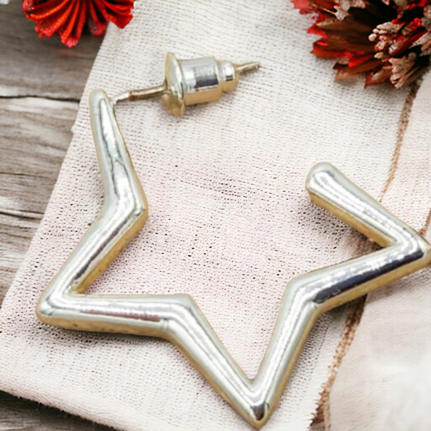 Hollow Star Stud Earring in Silver ER120S