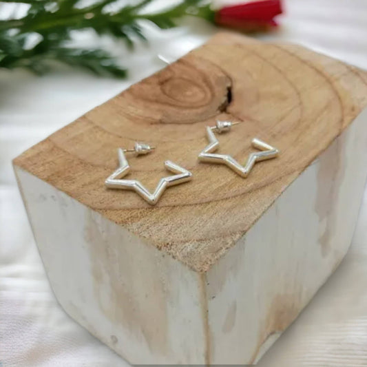 Hollow Star Stud Earring in Silver ER120S