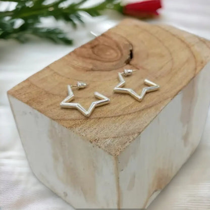 Hollow Star Stud Earring in Silver ER120S