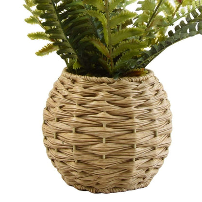 Fern in Round Rattan Pot