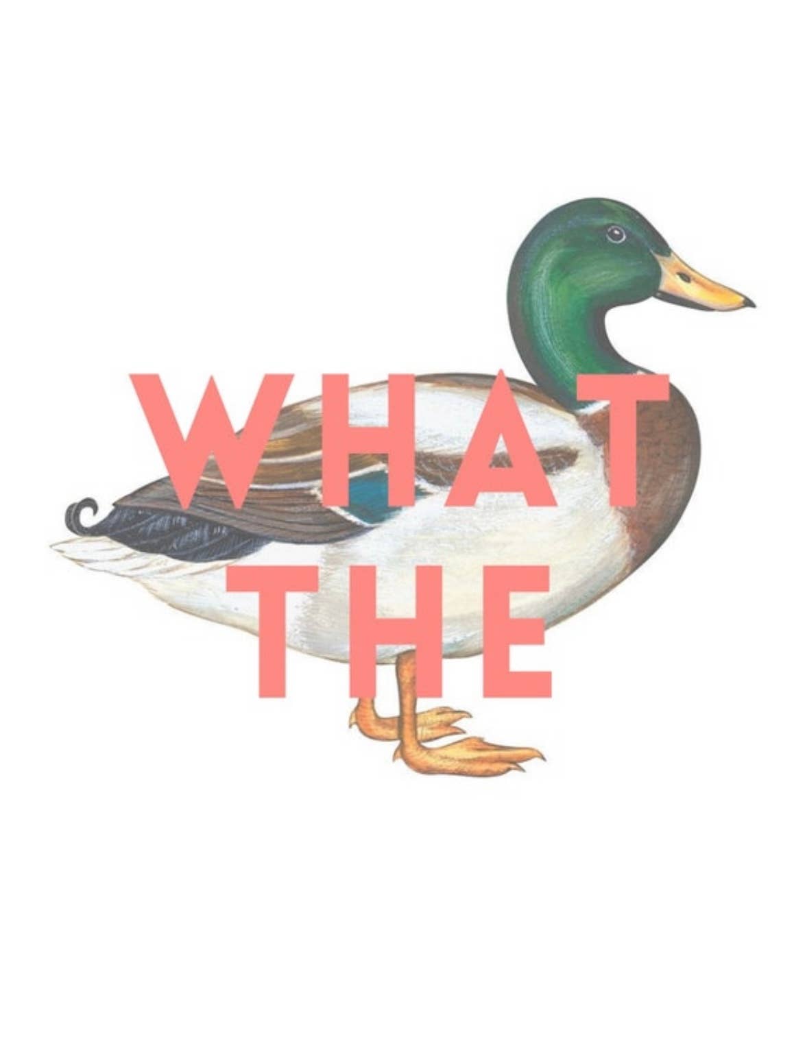 What the Duck Print